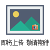 P.025WILDEN威爾頓耐酸堿氣動(dòng)隔膜泵P.025